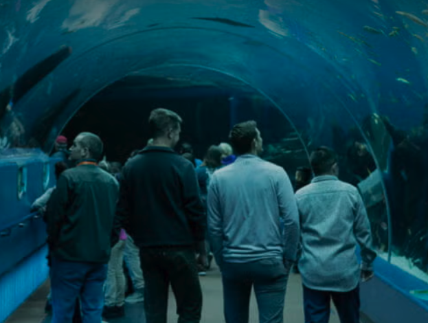 Photo for Aquarium Overnight
