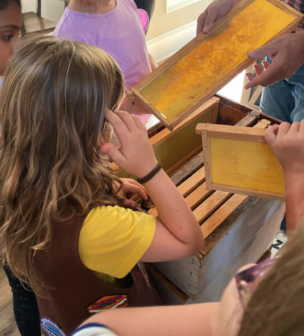 Photo 2 for Bee Keeping - All About Pollinators