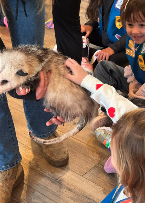 Photo 2 for Hand Me Down Zoo - Visit from Exotic Animals