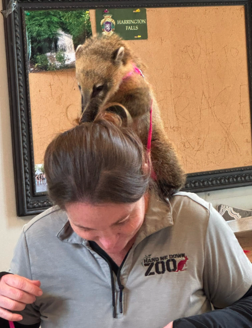 Photo for Hand Me Down Zoo - Visit from Exotic Animals