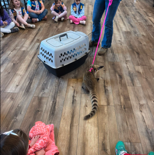 Photo 4 for Hand Me Down Zoo - Visit from Exotic Animals