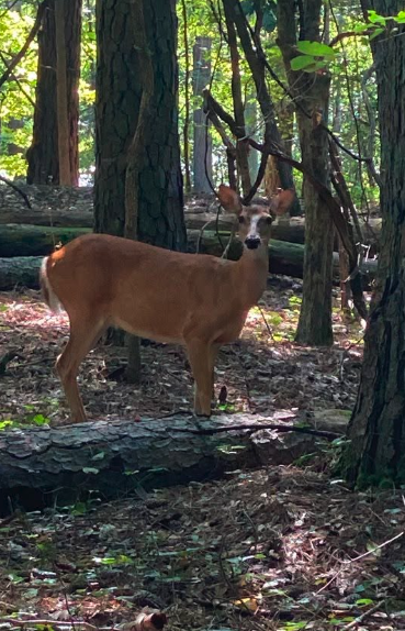 Photo 2 for Eco-Friend - Visiting Autrey Mill Nature Preserve